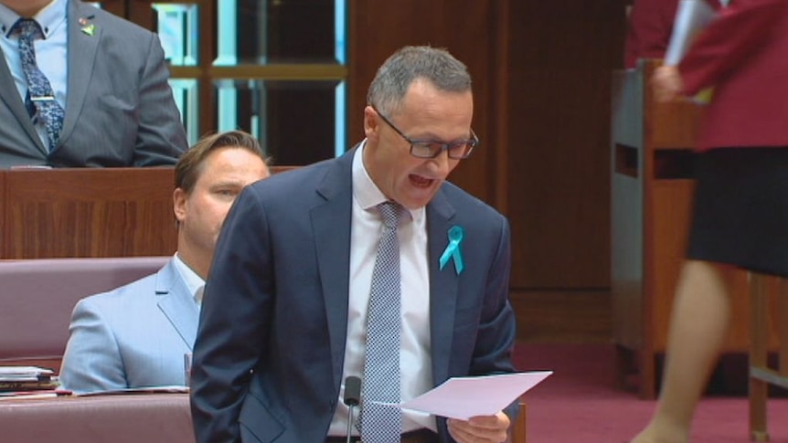 Richard Di Natale lambasted Jim Molan over his record as chief of coalition operations in Iraq.