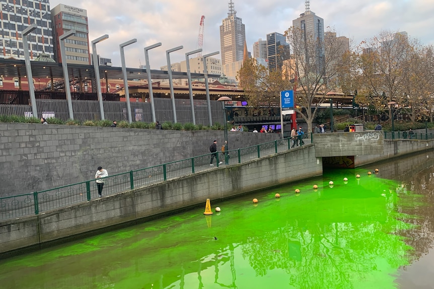 Yarra River turns green 