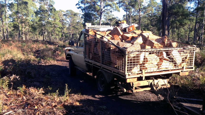 Vehicle full of firewood