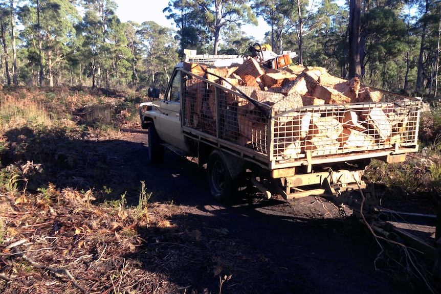 Vehicle full of firewood