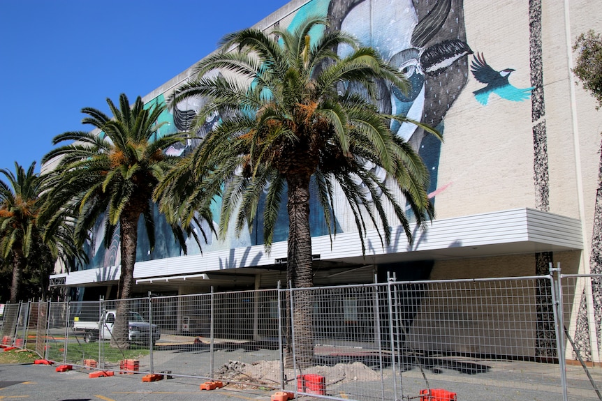 A building covered in scaffolding with palm trees in front of it.