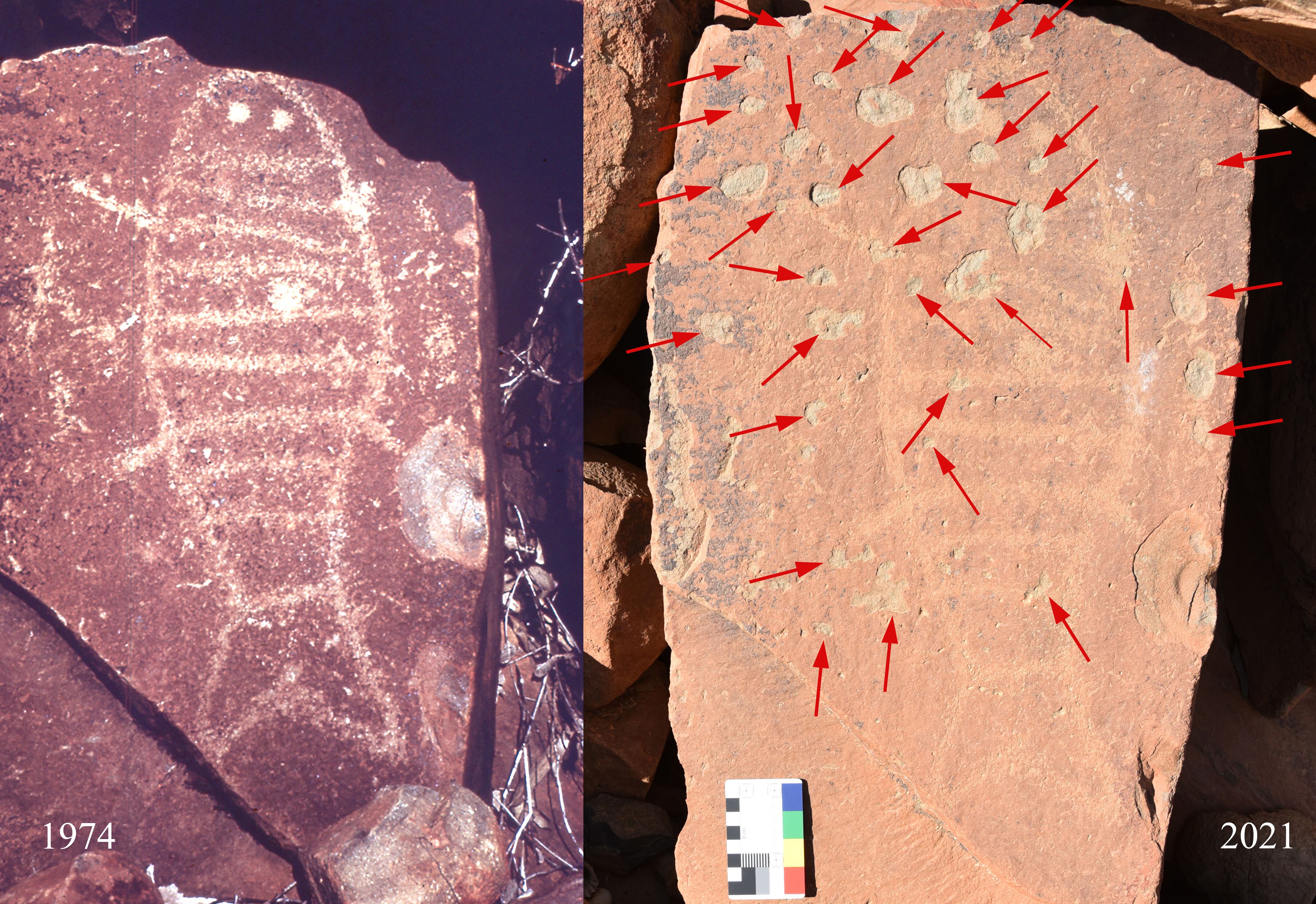 Two views of rock art taken about 50 years apart, one is faded compared to the other 