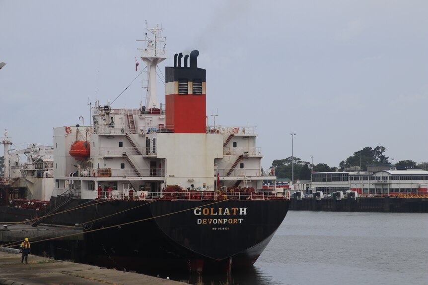 El buque Goliat en el puerto de Devonport.