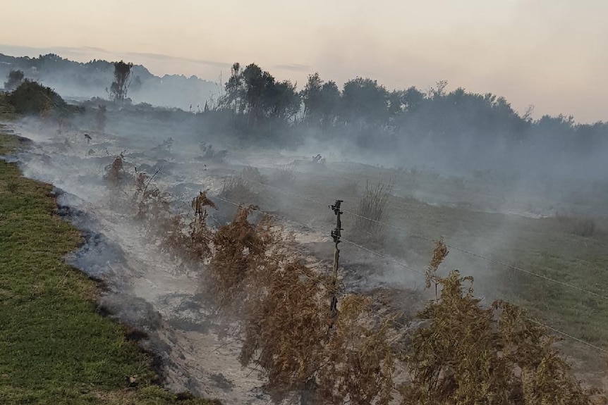 Peat fires have burned deep into land in south-west Victoria