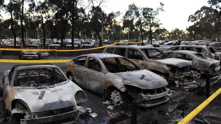 Burnt out vehicles line the car park next to the Sydney Aquatic Centre. (AAP: Paul Miller)