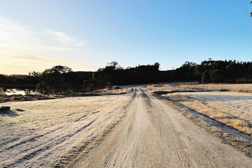 A driveway with frost