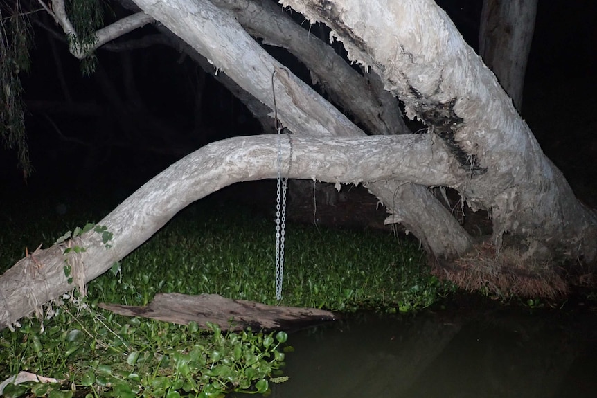 A dark picture taken at night shows a metal hook hanging from a tree along a river with a metal chain