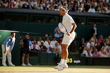 Roger Federer jumps in the air with his match open as celebrations winning his Wimbledon quarter-final.