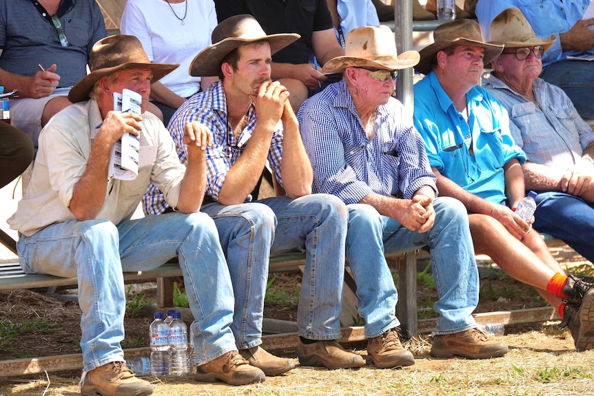 Five men sitting next to each other on a bench all wearing cowboy hats and jeans