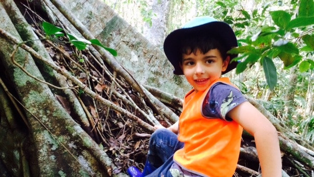 A young boy enjoys free play during a day at the Port Macquarie Nature School, and climbs a tree