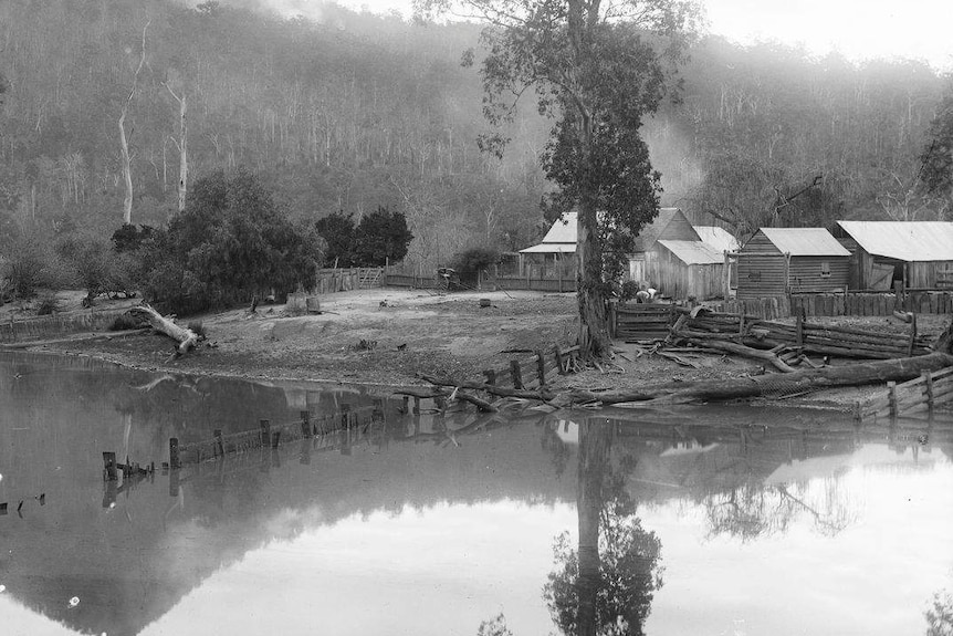 A timber house in bushland