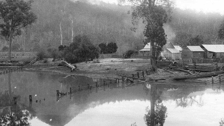 A timber house in bushland