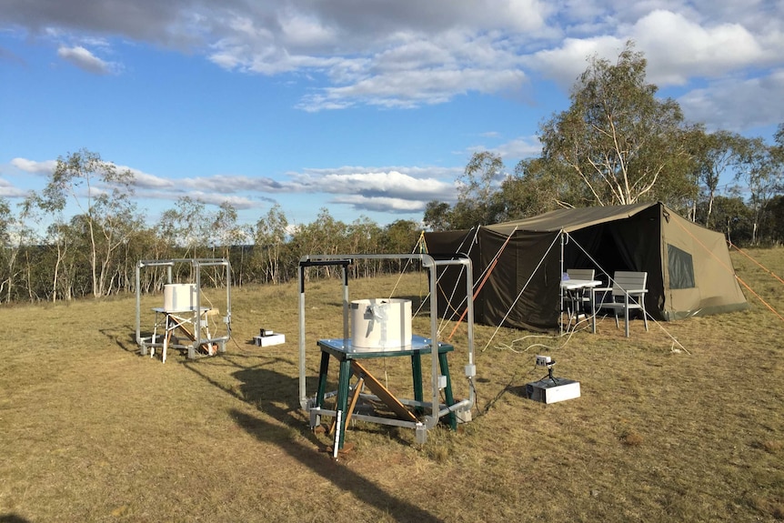 Experimental set up of flight arenas on grassy alpine plain with tent in back ground