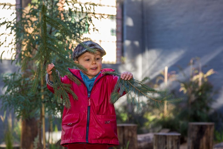 A boy wearing a flat cap plays with tree branches.