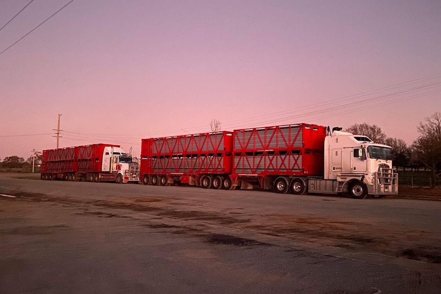 A B-double truck parked on the side of the road, with a pink-and-orange sky in the background.