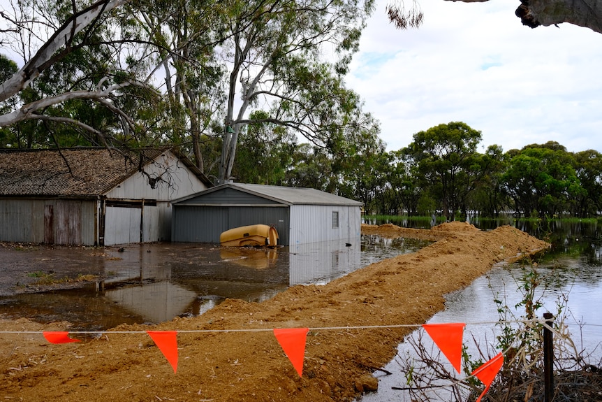 A levee with water on both sides and sheds and trees