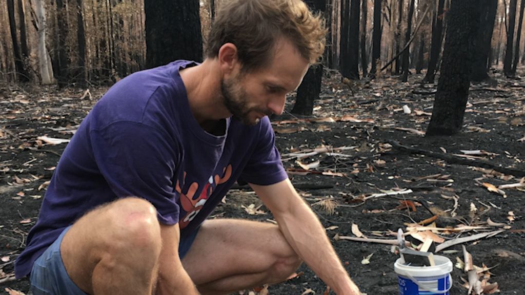 A timelapse of Currowan bushfire regeneration - ABC News