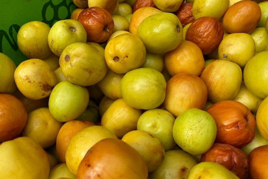 Jujubes that are green, yellow and brown in a box.