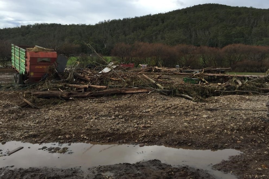 Fallen trees, pebbles, silt and other flood debris covers the ground on a dairy farm.