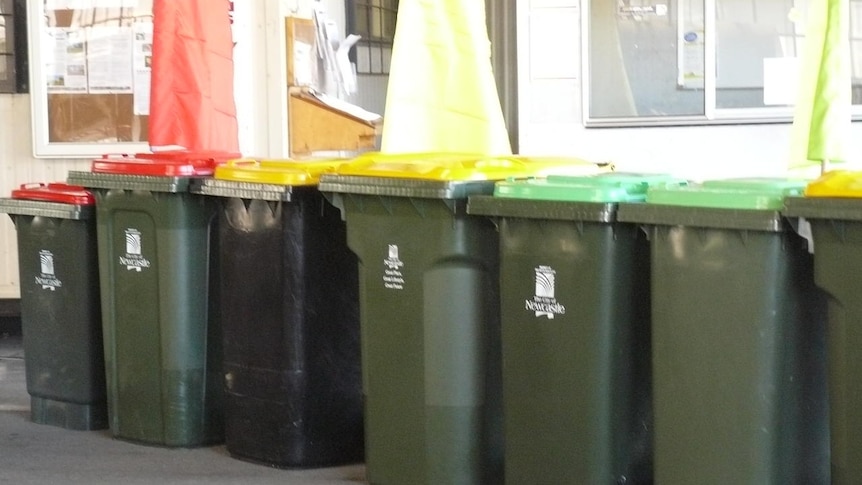 Confusion reigns as Newcastle introduces its new three-bin garbage system.