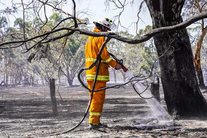 A firefighter with a fire hose sprays a smouldering tree stump.