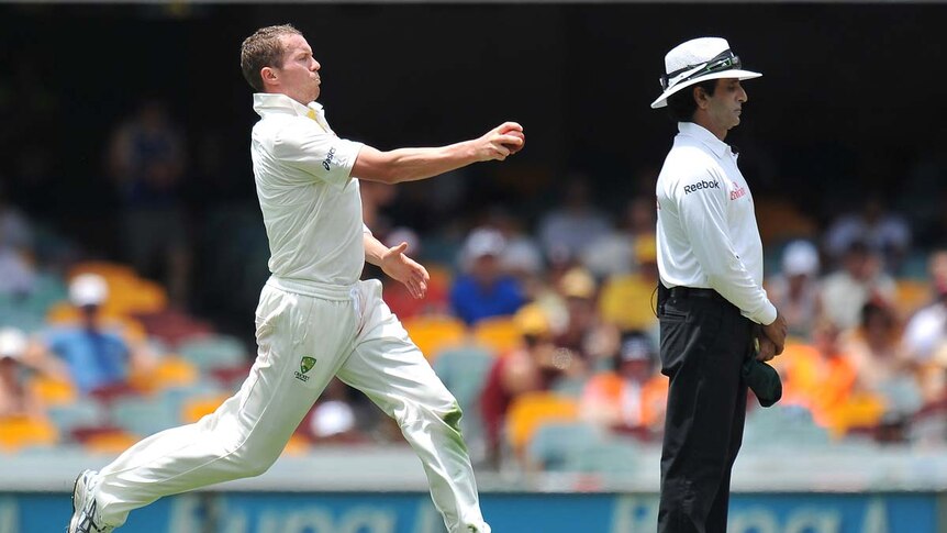 Peter Siddle runs in to bowl at the Gabba