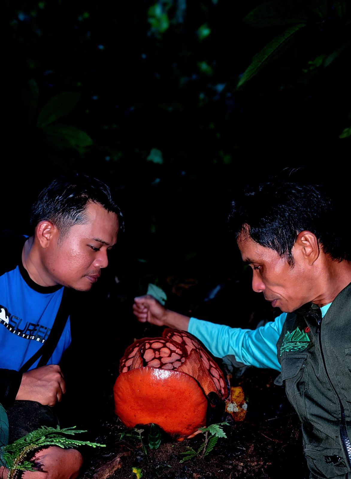 Two men watch as a giant flower blooms in a jungle at night.