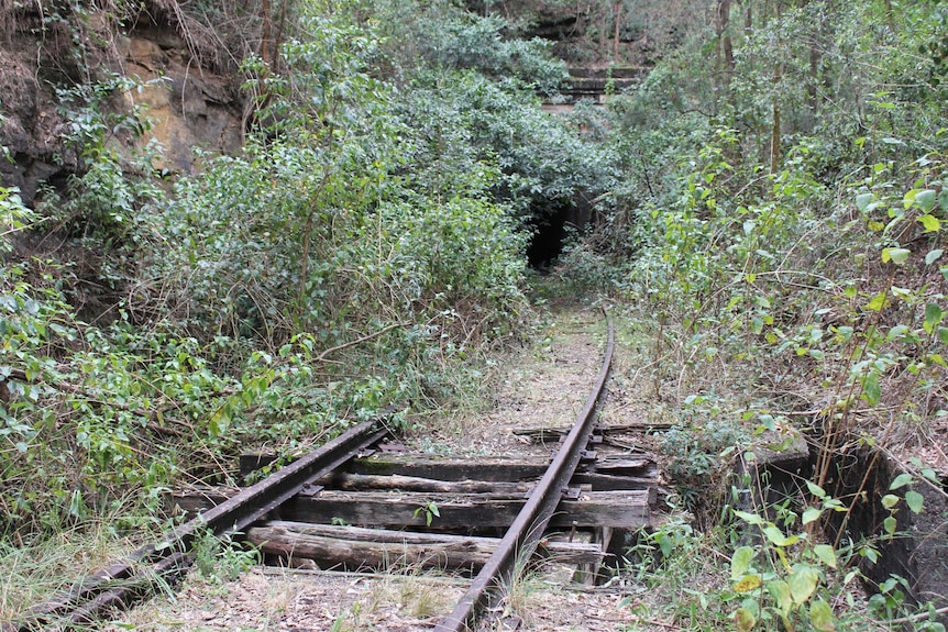 Rail lines and decaying timber bridge, a remnant of the old Dorrigo-Glenreagh line, May 2018.