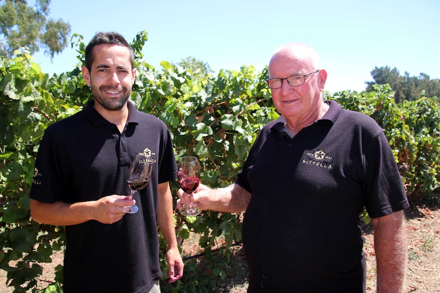 Yuri Berns and Ron Page sample a red while standing among the grapevines.