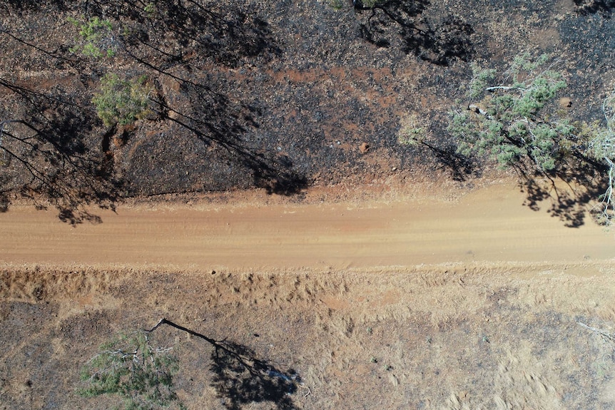 Kalumburu Road from above