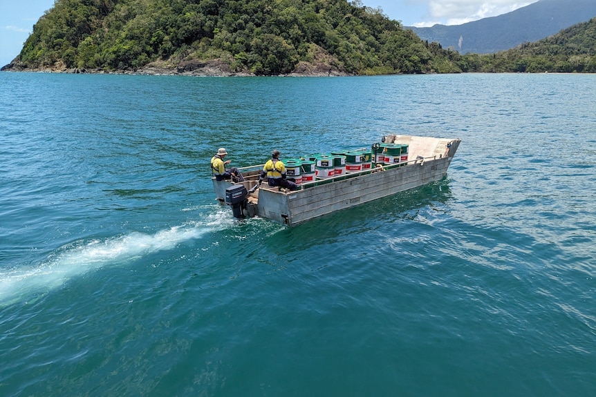 Barge with drums of fuel in the sea with rainforested headland in background