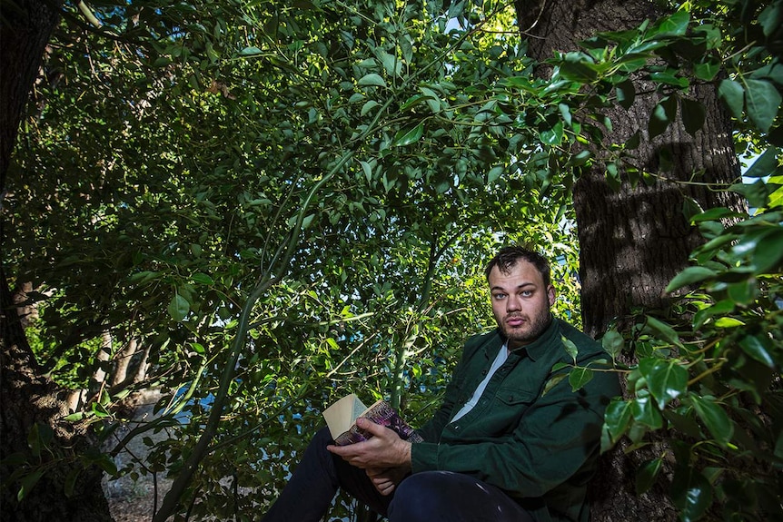 Colour photograph of a man wearing a green shirt sitting in a tree reading a book.