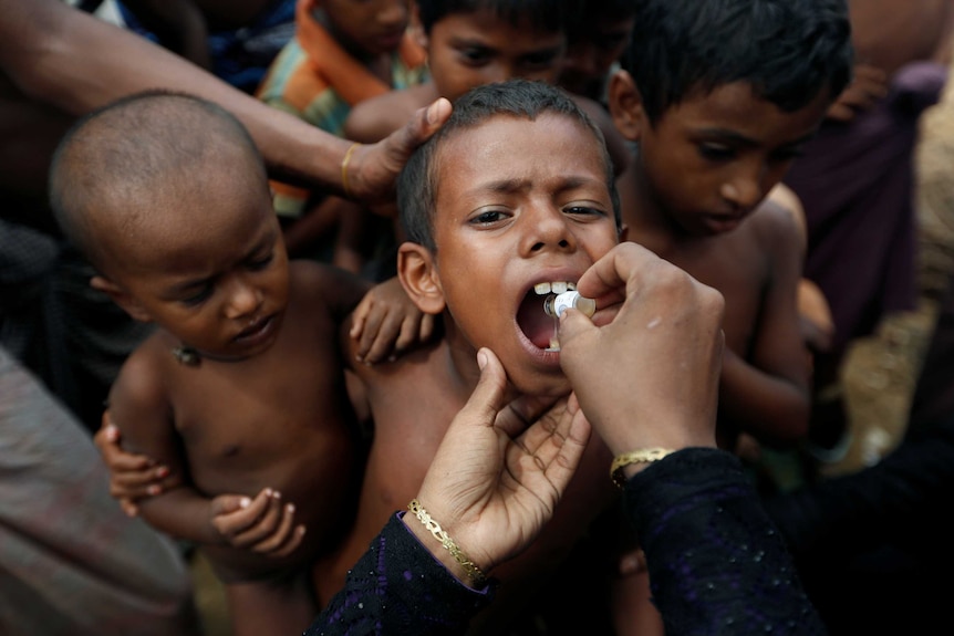 A Rohingya refugee child gets an oral cholera vaccine placed in his mouth as he stands in a crowd of children.