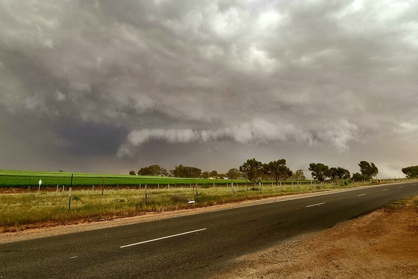 A thunderstorm approaches from over a crop field, with a road surrounded by red dust in the foreground