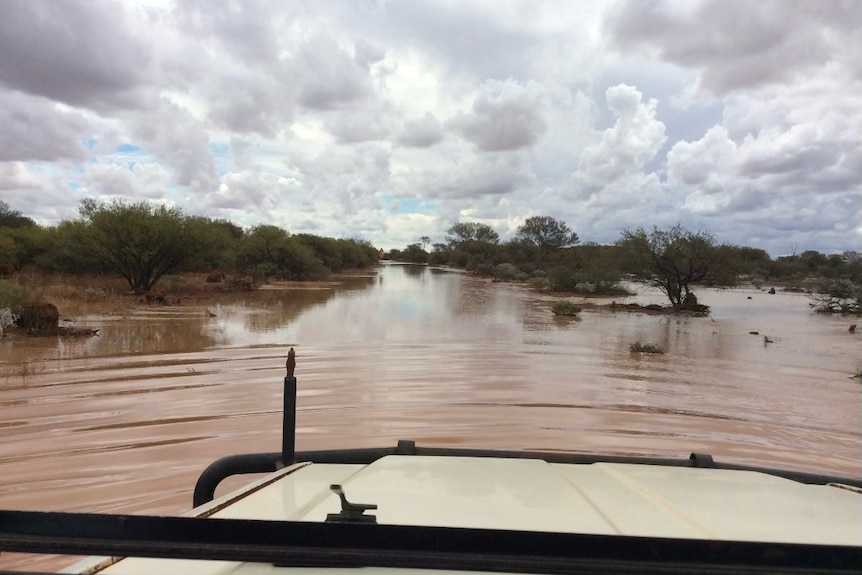 Looking out onto a flooded bush setting from a car dashboard, muddy water, submerged green trees, cloudy sky.