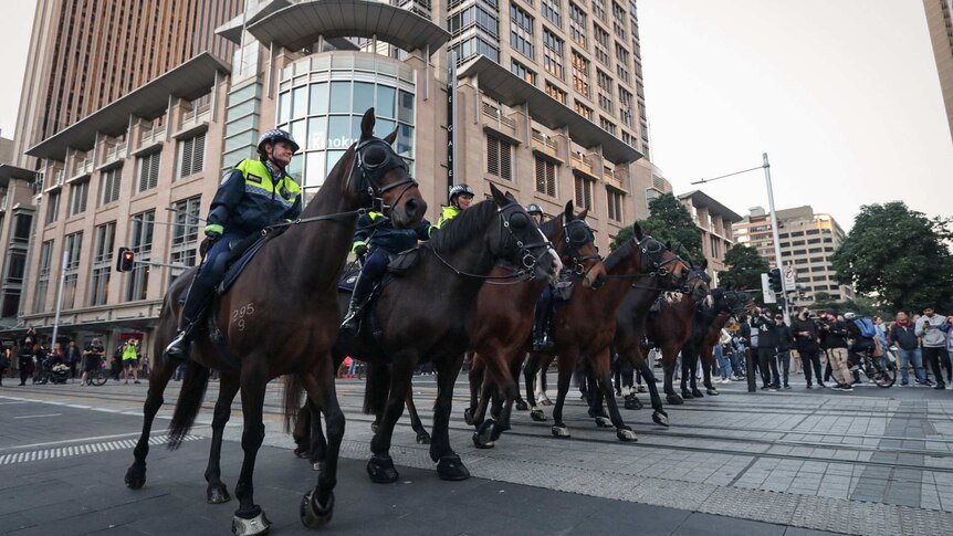 A row of police sit on horseback in central Sydney.