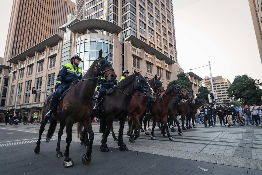 A row of police sit on horseback in central Sydney.