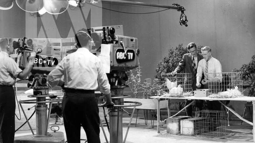 An old black and white photo of an ABC studio with presenters and cameramen during filming