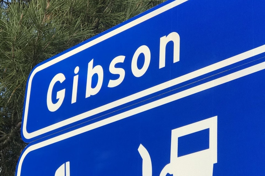 Gibson, WA