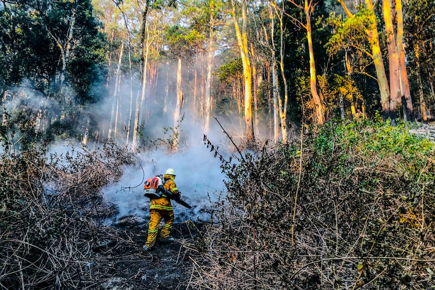 Person in yellow fire clothes using a leaf blower to clear ground smouldering from a bushfire in front of the forest edge.