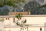 Pakistani soldiers stand guard on top of a building at the hideout of Osama bin Laden