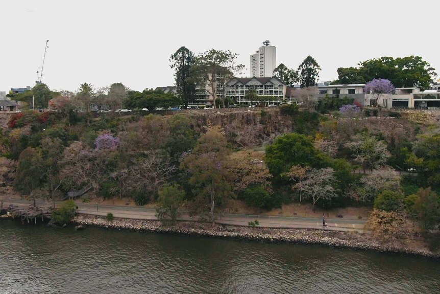 A drone photo looking at riverside cliffs in Brisbane. At the top are apartments, at the base are trees and a park.