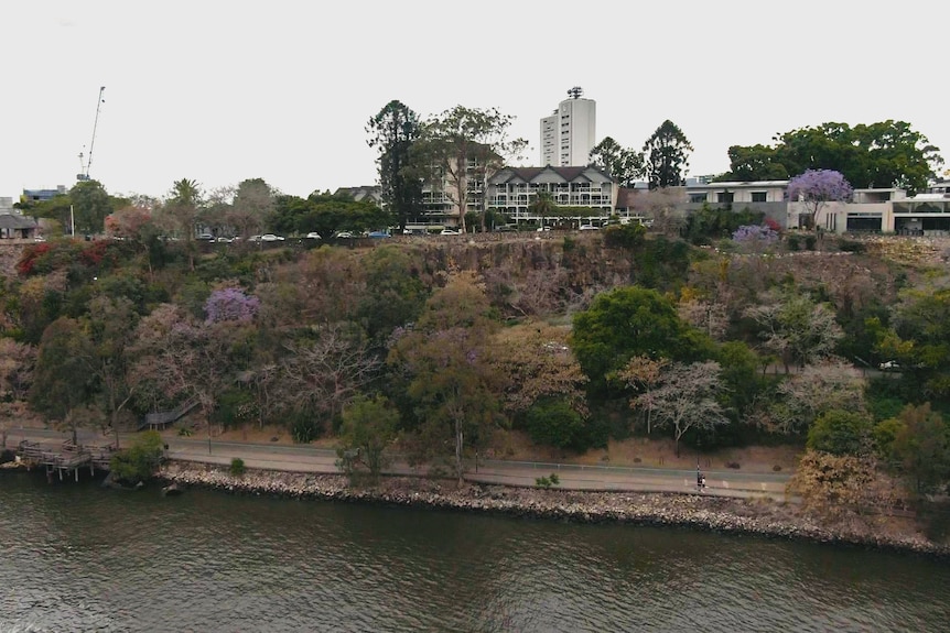 A drone photo looking at riverside cliffs in Brisbane. At the top are apartments, at the base are trees and a park.