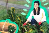 Woman picks curly kale from a veggie patch in a story about tips for planning your first garden as a homeowner.