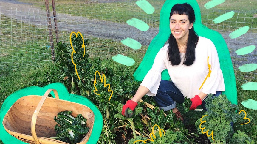 Woman picks curly kale from a veggie patch in a story about tips for planning your first garden as a homeowner.