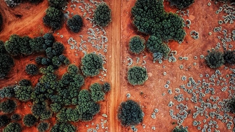 An aerial shot of the Australian outback