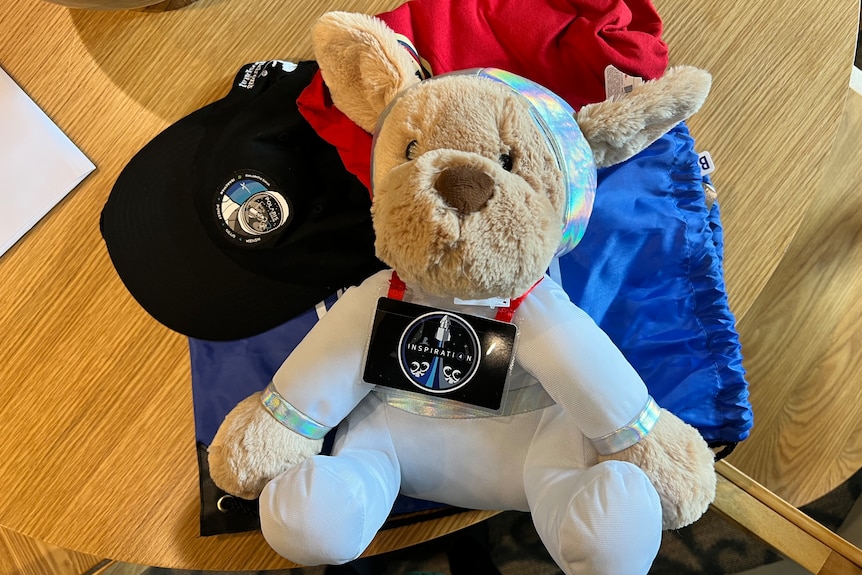 teddy bear wearing space suit and NASA labelled beanie