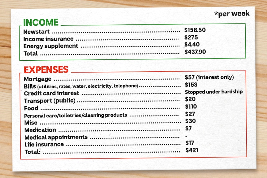 A list of Peter's income and expenses, including bills, transport, food.