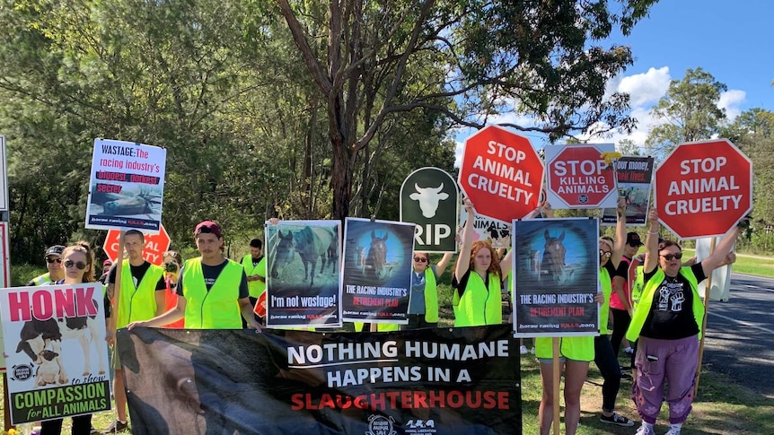 Protesters on the side of a road outside an abattoir