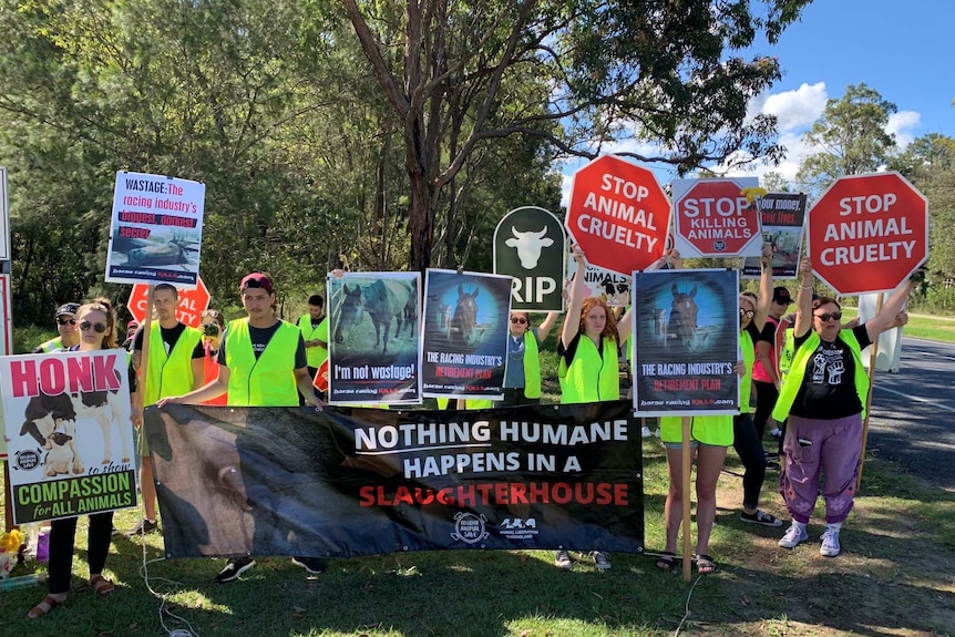 Protesters on the side of a road outside an abattoir